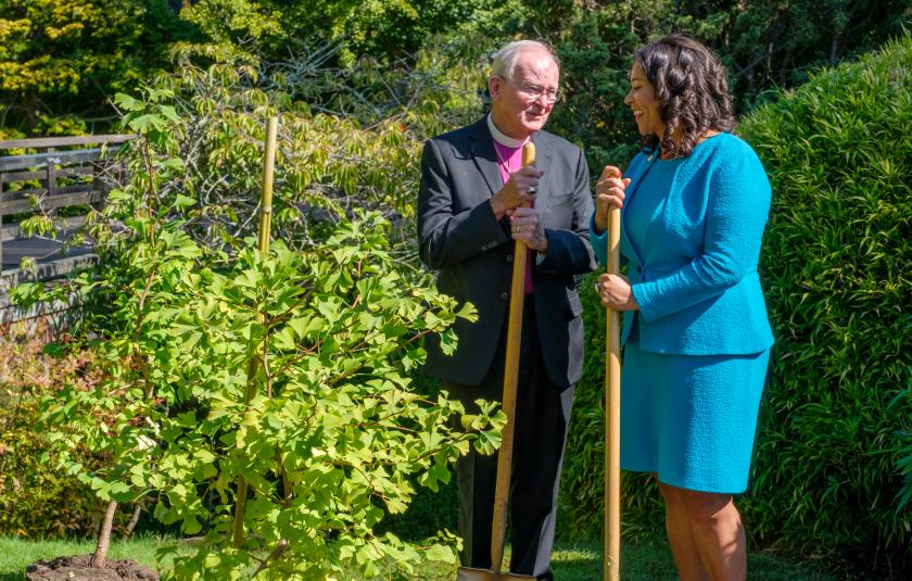 Slideshow: Two Hiroshima Survivor Trees Planted in Japanese Tea Garden