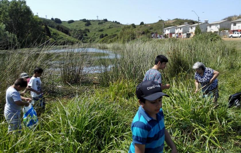 Ecological Cleanup Day in Chile