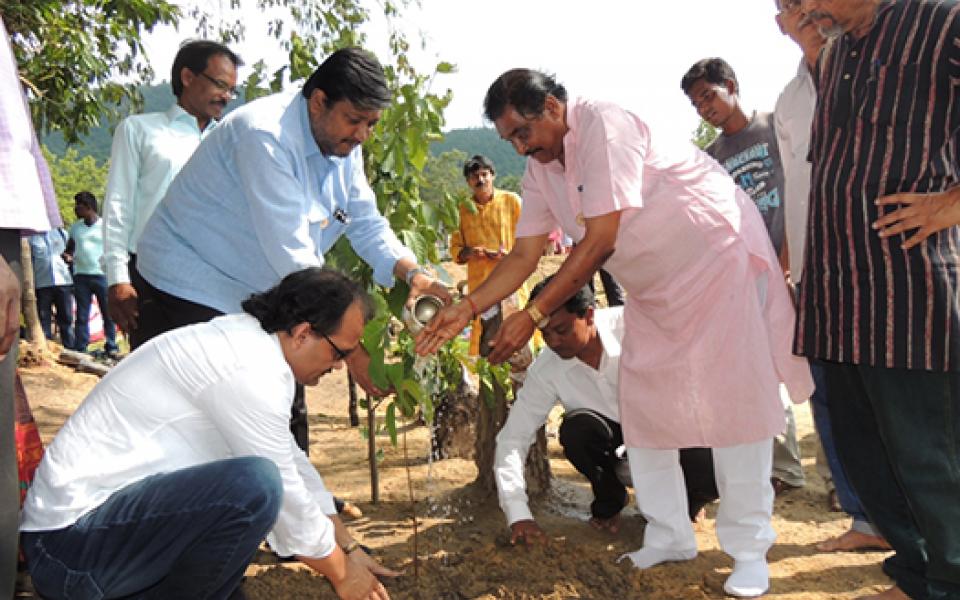 EastIndia-TreePlantation.jpg