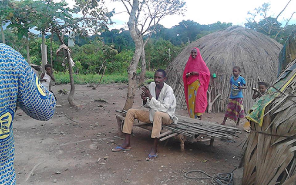 NigerRefugeesInGhana-cattleFarming_3.jpg