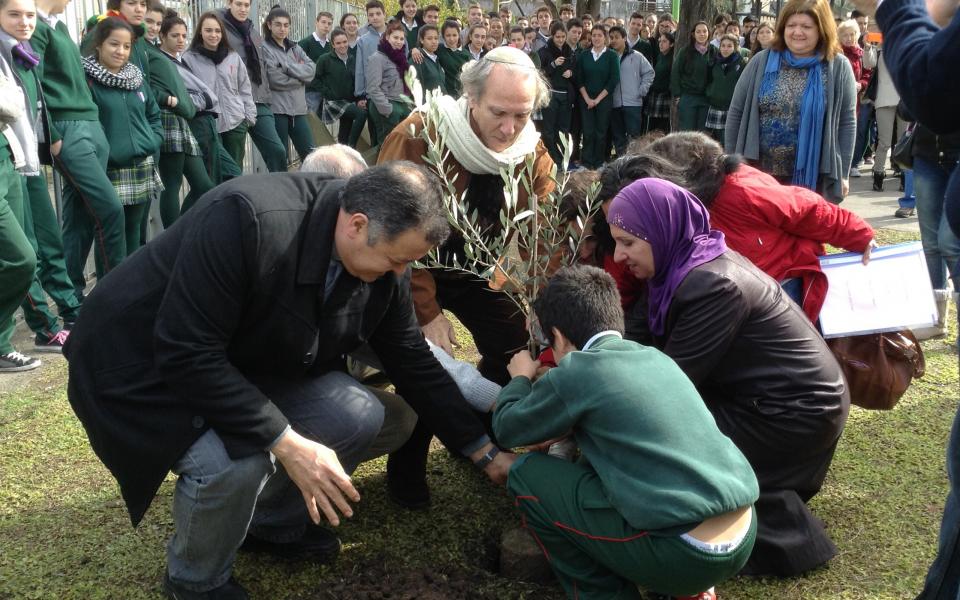 WeeklyShot-MunroCity-OlivePlanting1.jpg