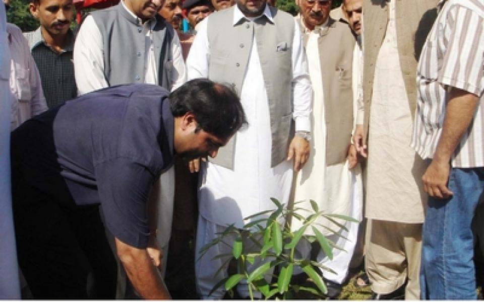 A man planting a tree 