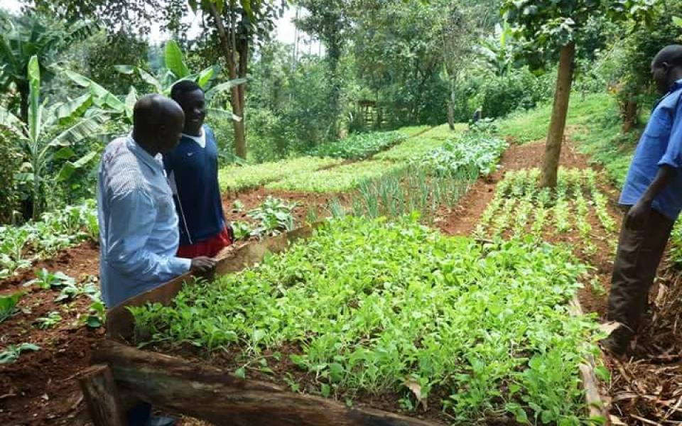 facis-bio-agriculture.jpg