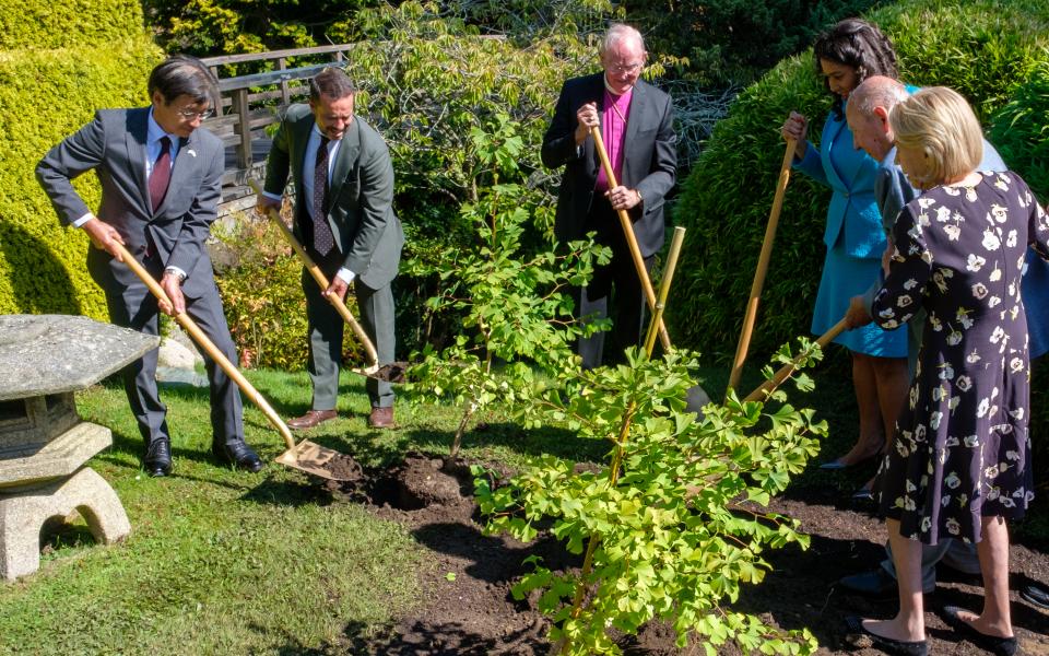 Two Hiroshima Survivor Trees Planted in Japanese Tea Garden