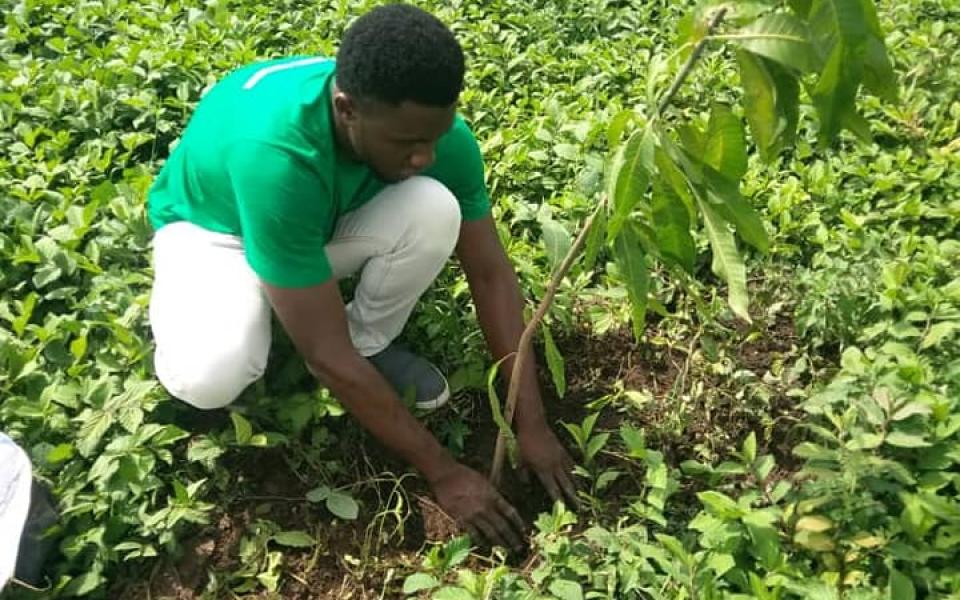 Planting Trees in Nigeria for Environment Day