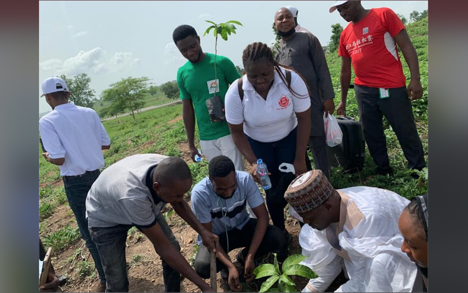 Planting Trees in Nigeria for Environment Day
