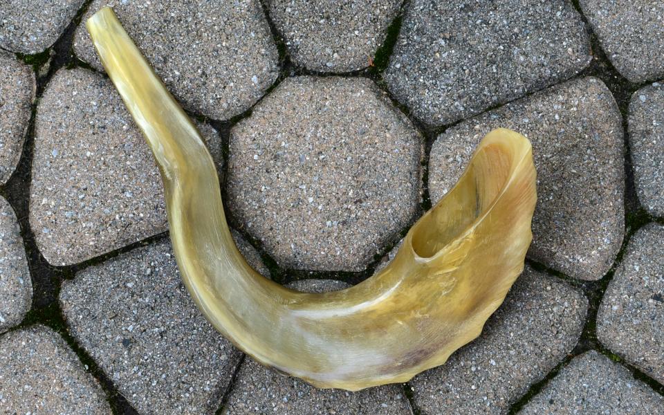 Photo of a shofar by Slgckgc via Wikicommons Images