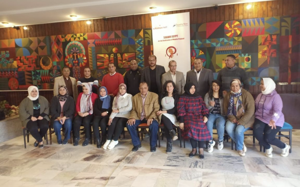 Training for Media Personnel About Women's Rights: Association of the Egyptian Female Lawyers 